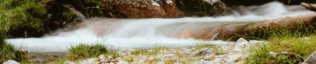 Profundamente arraigados en&nbsp;Dios.