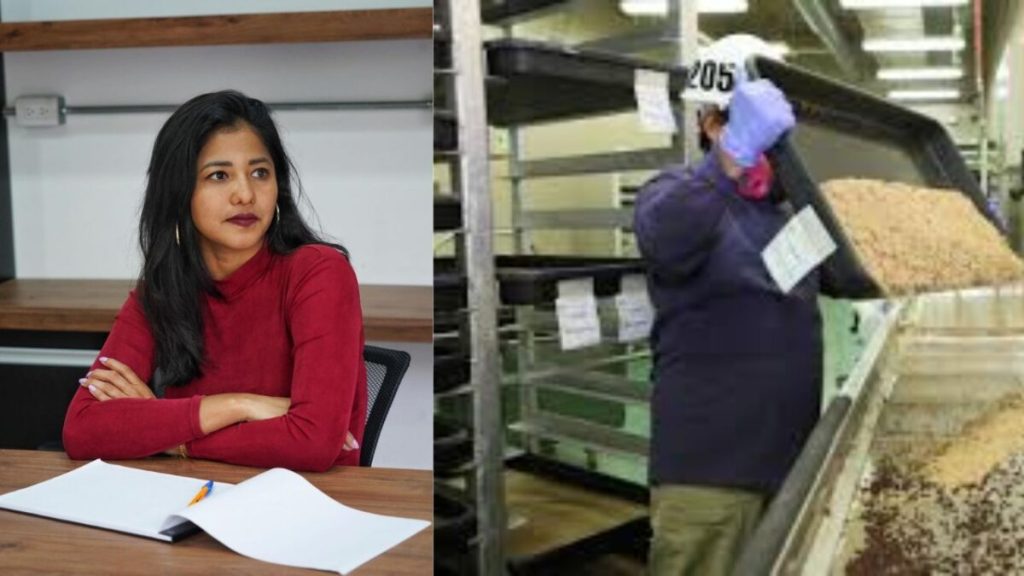 Reapertura de planta productora de moscas estériles, clave para combatir al gusano barrenador: Azucena&nbsp;Arreola.