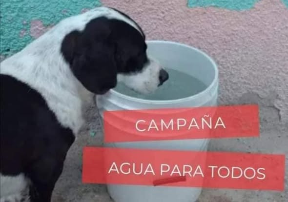 YO DIGO, YO&nbsp;PREGUNTO