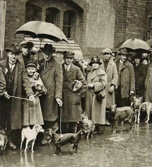 La fila más triste de Berlín,&nbsp;1926.