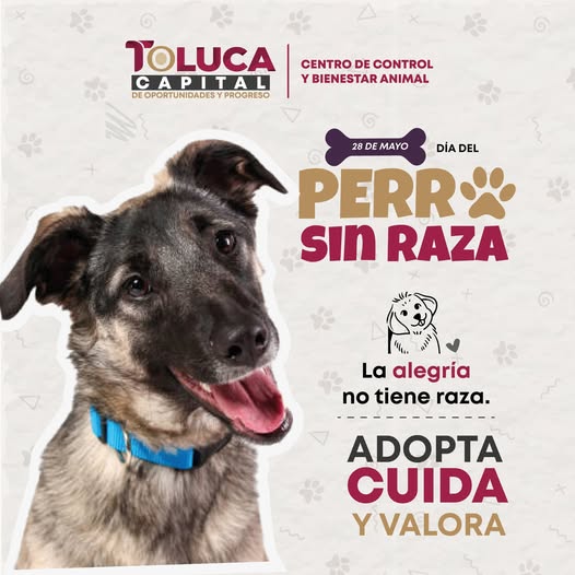 YO DIGO, YO&nbsp;PREGUNTO