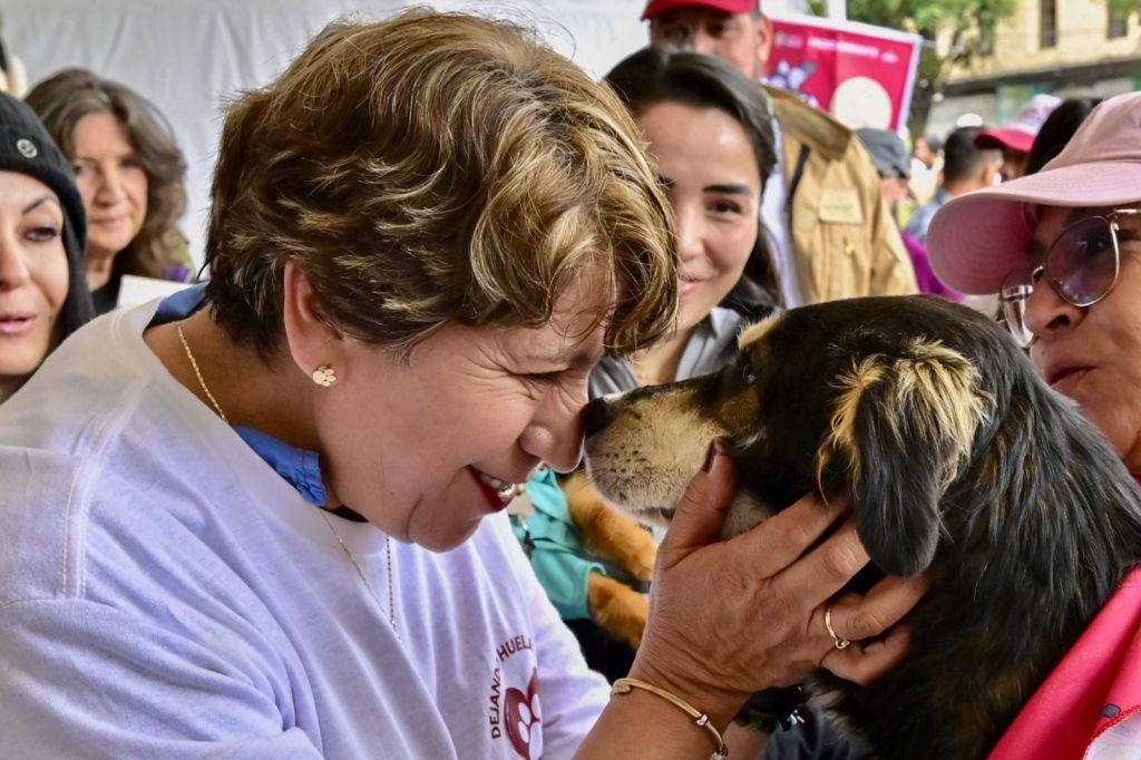 ¡La mejor jugada es adoptar! Gobierno del Edoméx invita a adoptar a un perrito en la final Toluca vs&nbsp;América.