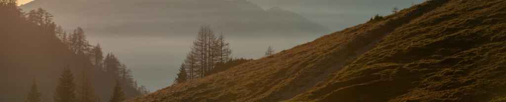 El Hijo de&nbsp;Dios.