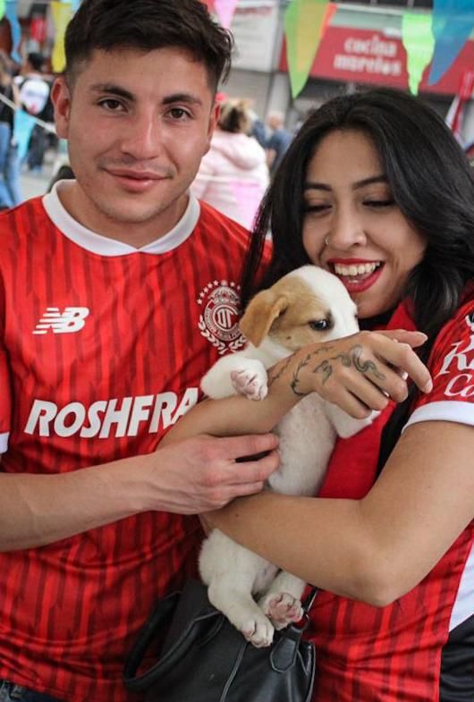 Lomitos y michis conquistan a la afición mexiquense: 77 ejemplares obtienen su pase a un nuevo hogar con “La mejor jugada es&nbsp;adoptar.”