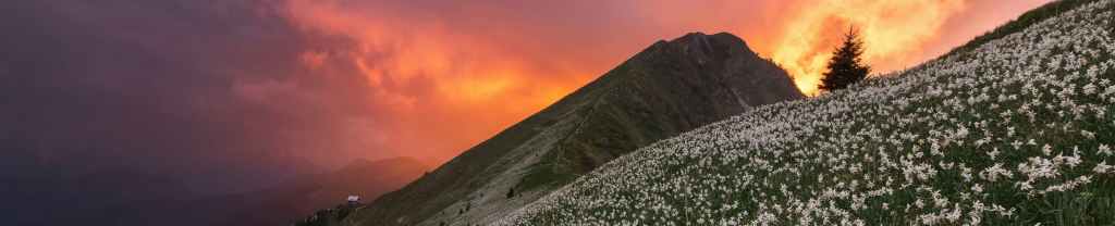 El Honor De La&nbsp;Humildad.