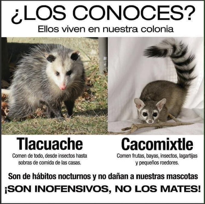 YO DIGO, YO&nbsp;PREGUNTO