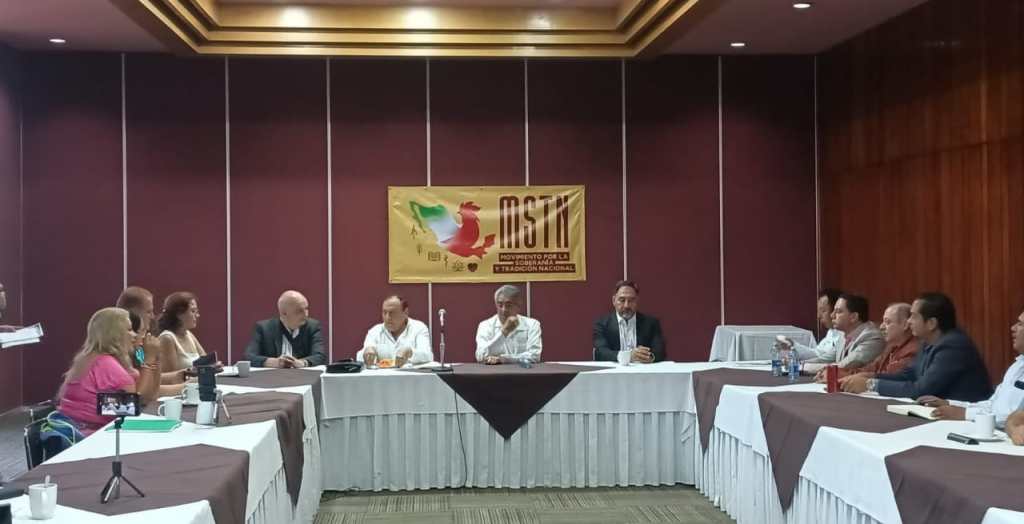 El Movimiento por la Soberanía y Tradición Nacional (MSTN), inicia trabajos para conformarse en partido político&nbsp;nacional.