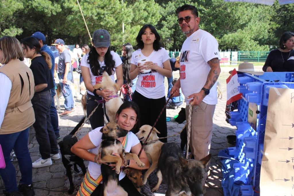 ¡No los dejes bajo la lluvia! Cuidar a tus lomitos y michis es tu responsabilidad. Sigue las recomendaciones de la&nbsp;CEPANAF.