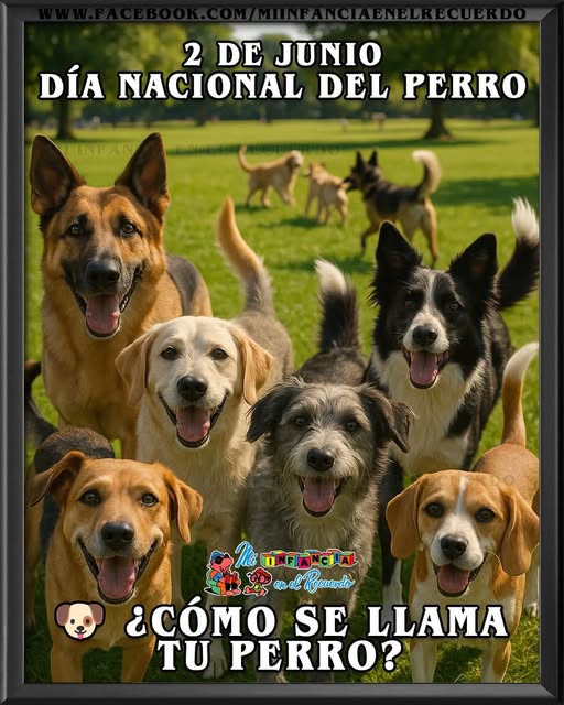 YO DIGO, YO&nbsp;PREGUNTO