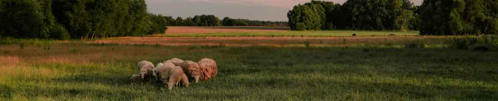 Una Fe Inquebrantable.