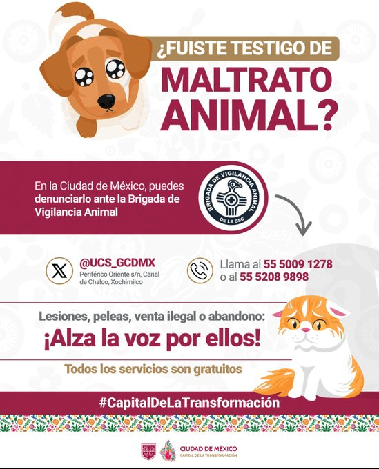 ¡¡¡Denuncia, Por Favor NO te Quedes Callada&nbsp;(o)!!!.