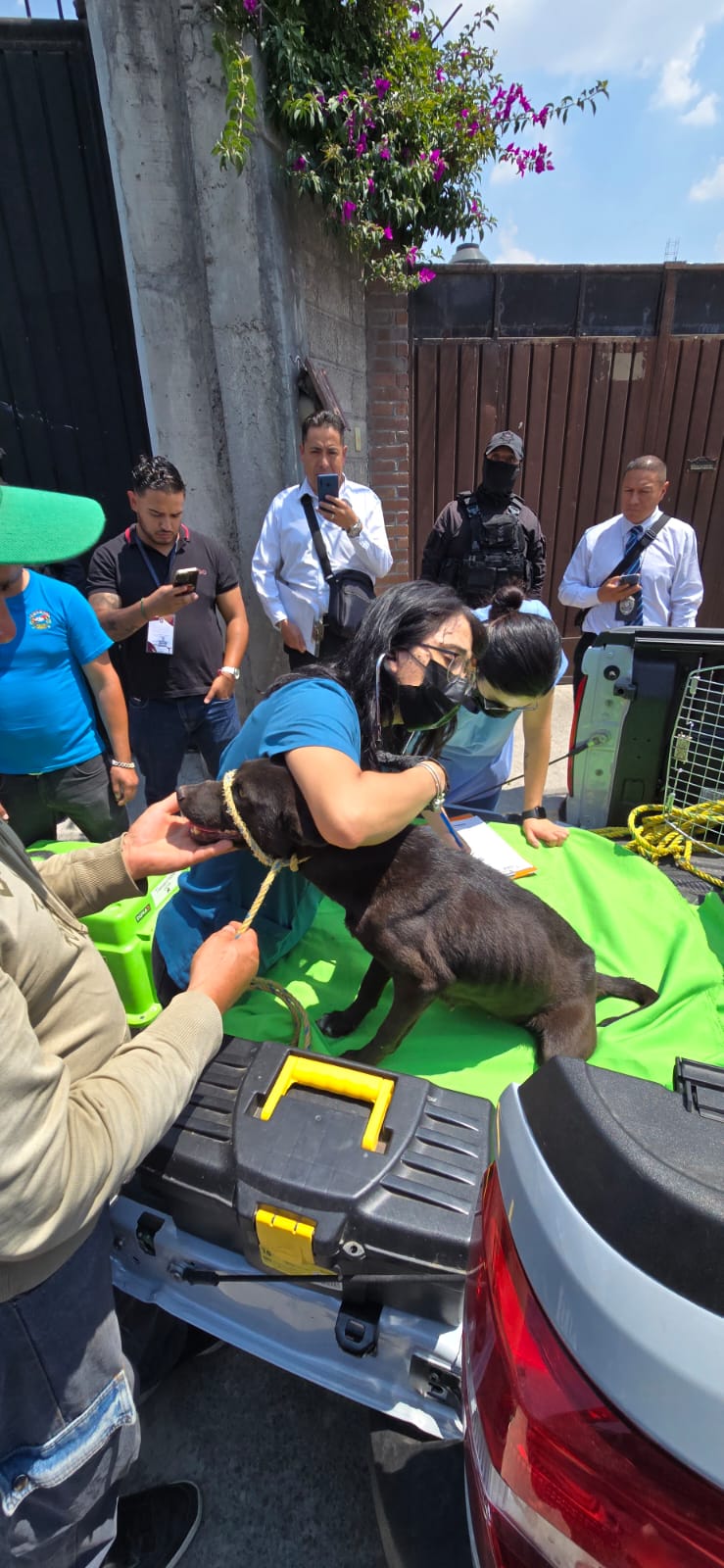 En Toluca, defendemos a los lomitos: Ricardo&nbsp;Moreno.