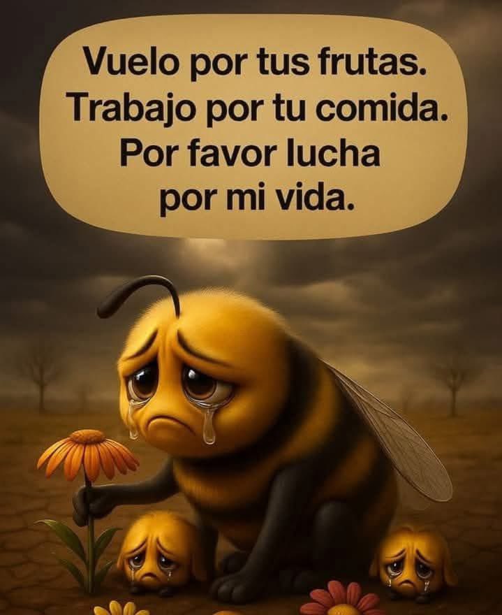 YO DIGO, YO&nbsp;PREGUNTO.