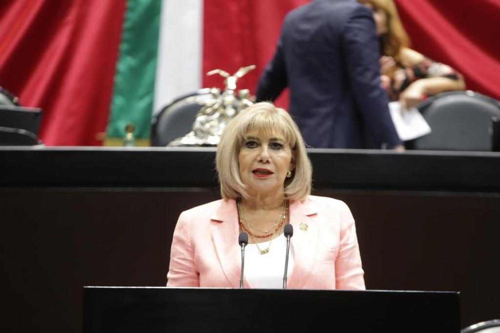 Diputada Federal del PRI Socorro Jasso Nieto exige al Gobierno de la CDMX y al Metro medidas urgentes contra fallas en Línea B y&nbsp;Pinchazos.