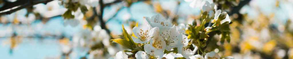 Un Amigo a&nbsp;Medianoche.