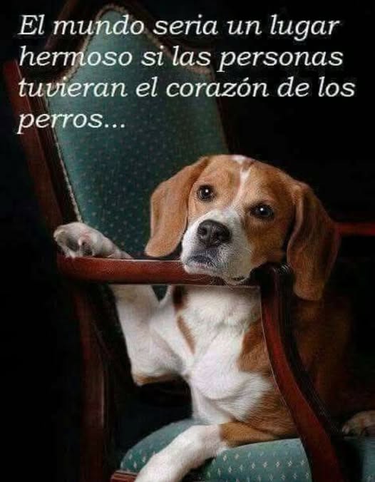 YO DIGO, YO&nbsp;PREGUNTO