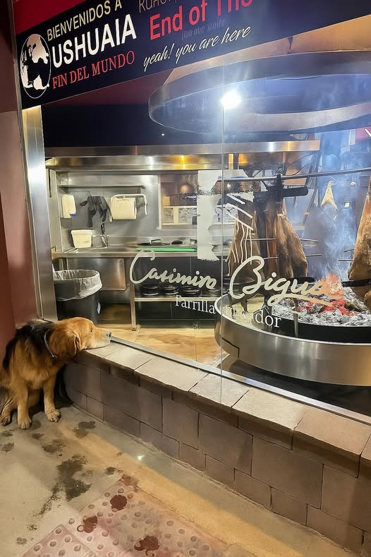 Taco, El Afortunado y&nbsp;Elegido.