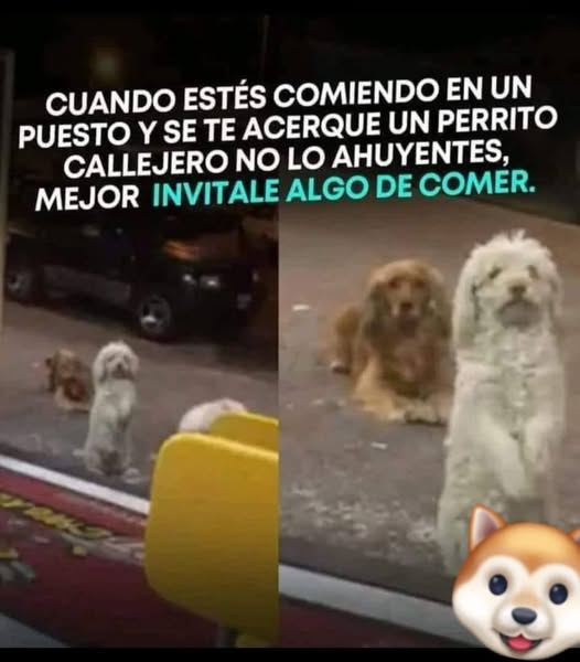 YO DIGO, YO&nbsp;PREGUNTO