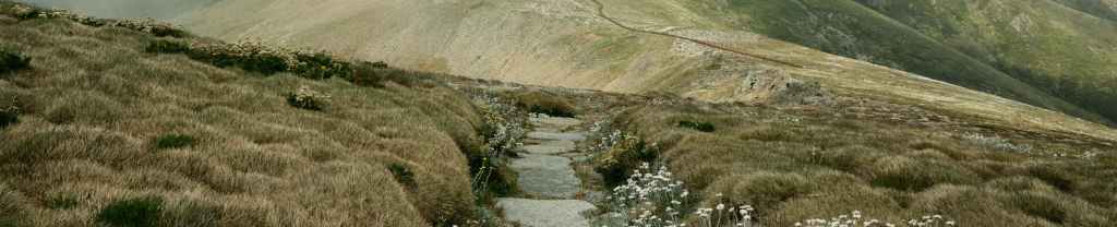 Las Oraciones de&nbsp;Jesús.