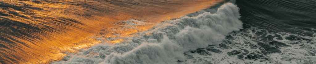 Los Hábitos y El Espíritu&nbsp;Santo.