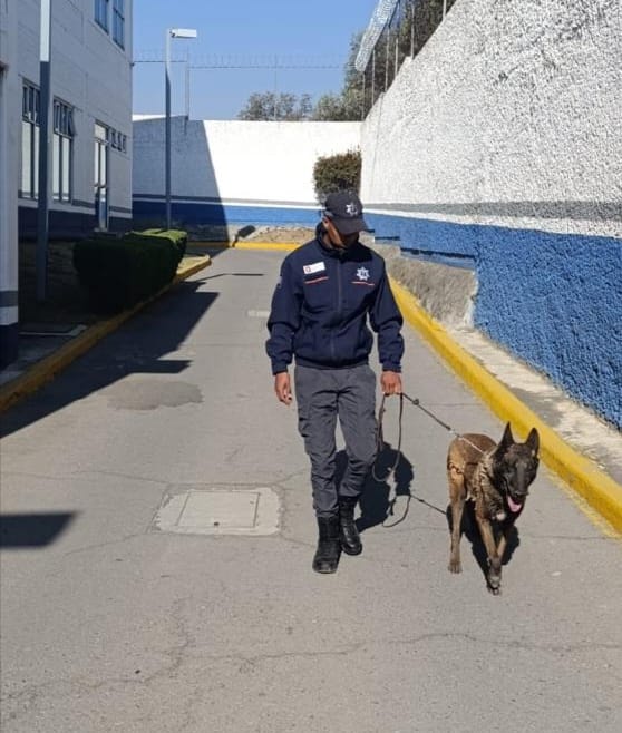 Anuncia Ricardo Moreno nueva sede del Centro de Control y Bienestar Animal en zona norte del&nbsp;municipio.