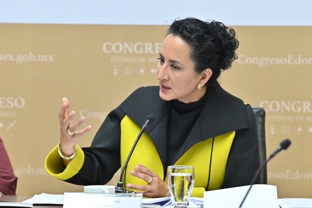 Verificará Congreso uso de recursos en municipios con alerta de&nbsp;género.