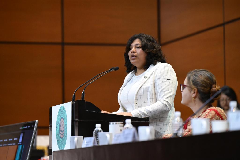 La Diputada Federal por Morena Fabiola Karina Pérez Popoca promueve La Música como herramienta para La Paz y El Desarrollo Integral de La&nbsp;Niñez.