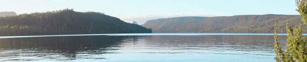 Cavando por Significado.