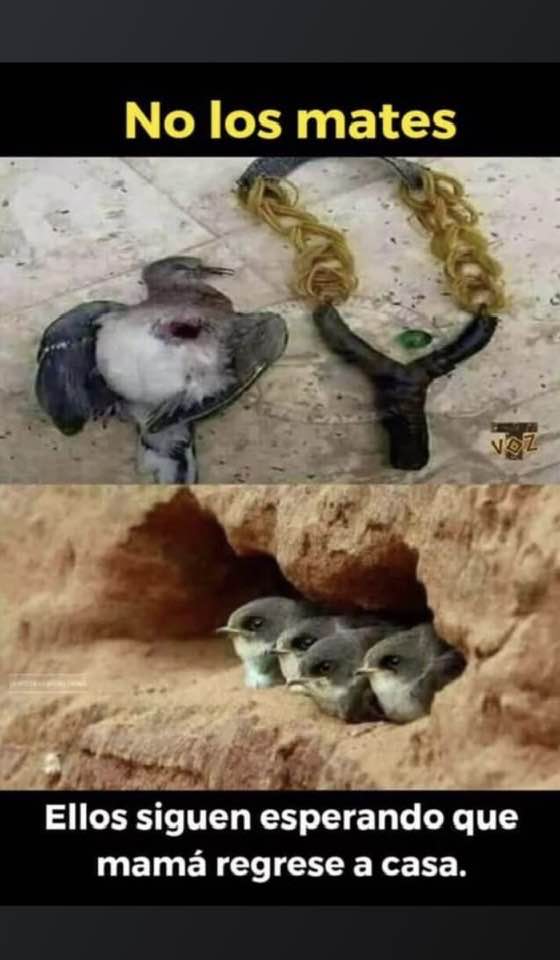 YO DIGO, YO&nbsp;PREGUNTO