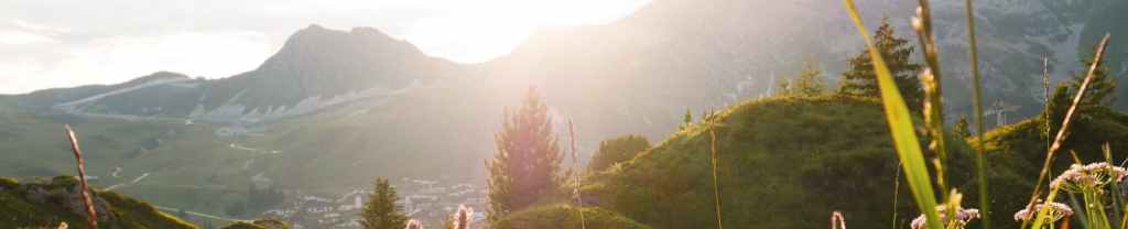 Alimentar a los&nbsp;necesitados.