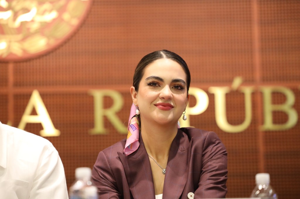 Morena en el Senado defiende a la presidenta Claudia Sheinbaum ante ataques de la senadora panista Lilly&nbsp;Téllez.