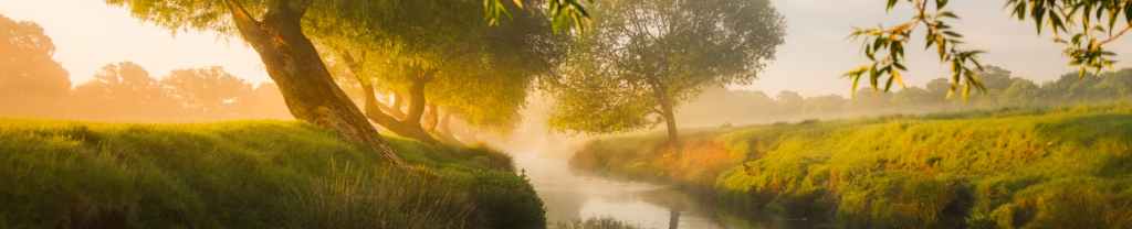 Atisbos de la gloria de&nbsp;Dios.