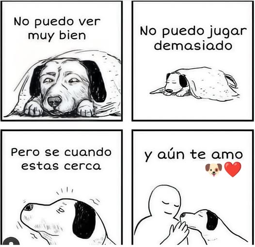 YO DIGO, YO&nbsp;PREGUNTO