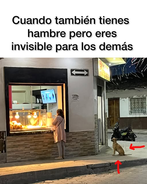 YO DIGO, YO&nbsp;PREGUNTO.