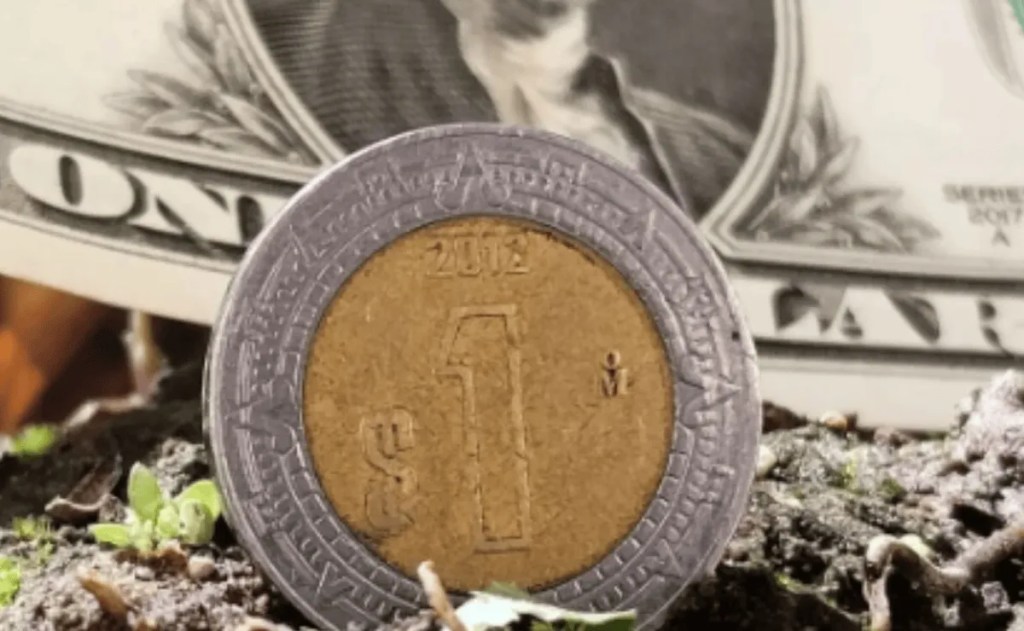 ¡Peso pierde! Precio del dólar hoy miércoles 6 de agosto de&nbsp;2025.