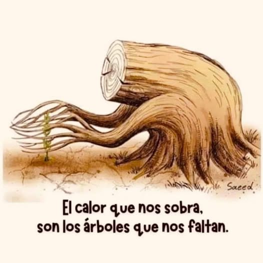 YO DIGO, YO&nbsp;PREGUNTO