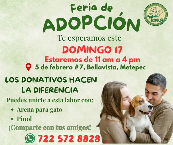 YO DIGO, YO&nbsp;PREGUNTO