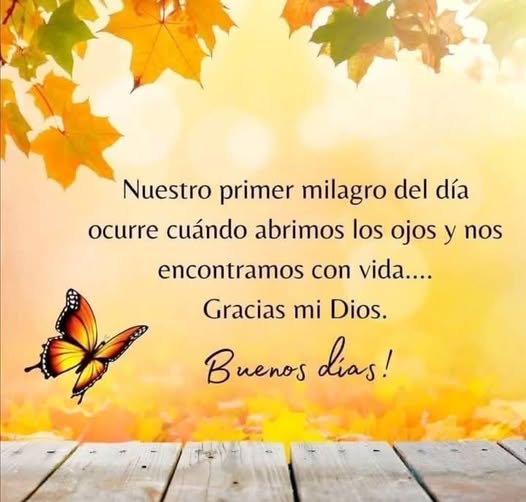 Pidan y se les Dará. Búsquenme y me Hallarán. Llámenlo y se les&nbsp;Abrirá.