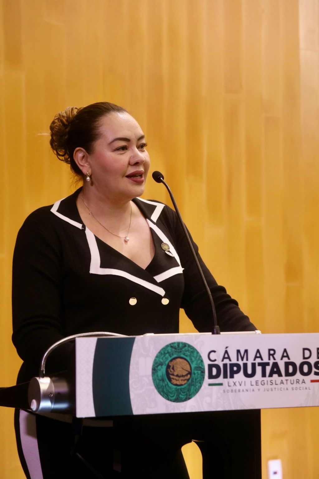 Gremio Artístico merece Representación Legislativa: Diputada Federal del PRI Mónica&nbsp;Sandoval.