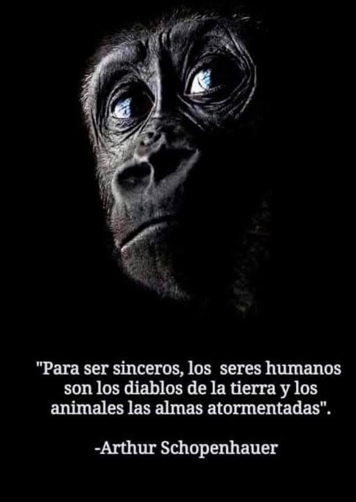 YO DIGO, YO&nbsp;PREGUNTO