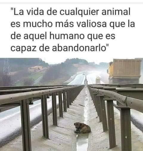 YO DIGO, YO&nbsp;PREGUNTO