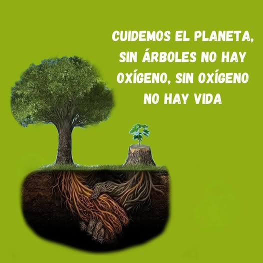 YO DIGO, YO&nbsp;PREGUNTO