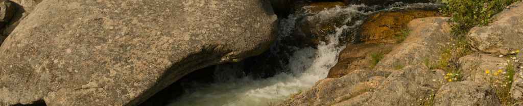 Belleza de la&nbsp;tragedia.