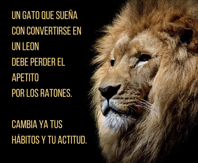 YO DIGO, YO&nbsp;PREGUNTO