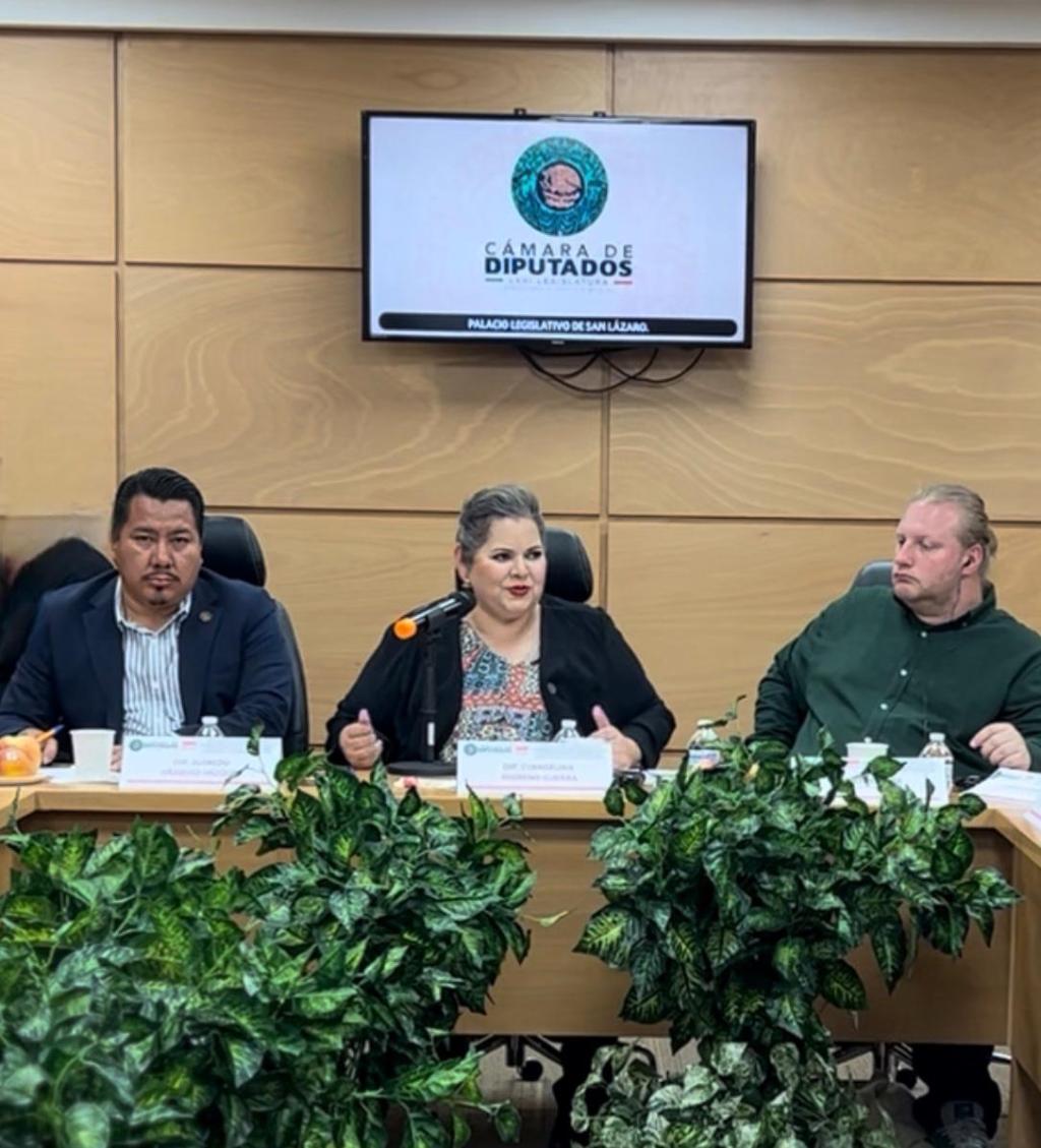 La Diputada Federal Evangelina Moreno y El Diputado Federal Alfredo Vázquez coordinan la visita de la delegación europea al Congreso&nbsp;mexicano*.