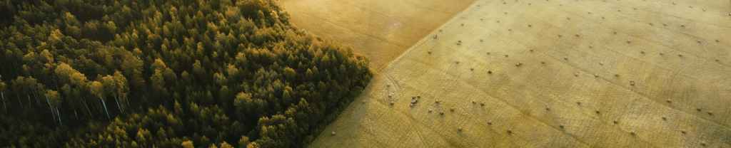 Ver lo que ha hecho&nbsp;Dios.