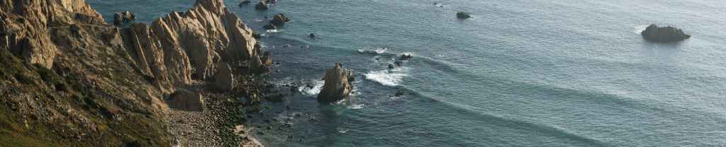 De megalodones y&nbsp;leviatanes.