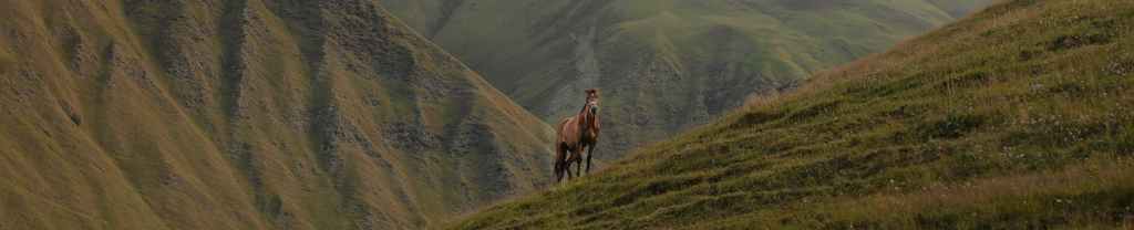 No avergonzarse de&nbsp;Jesús.