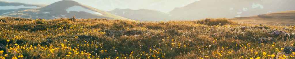Abrazar la verdad de&nbsp;Cristo.