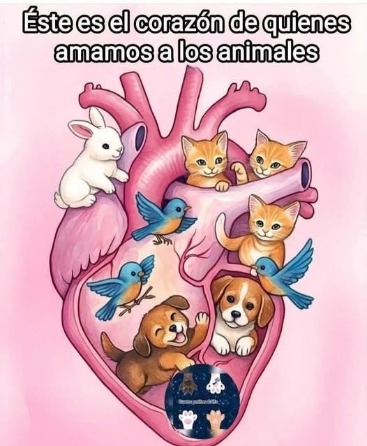 YO DIGO, YO&nbsp;PREGUNTO